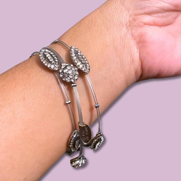 Seasonal Whispers Three Wire Bangle Bracelets Set with Swarovski Crystal Accents - Picture 1 of 7
